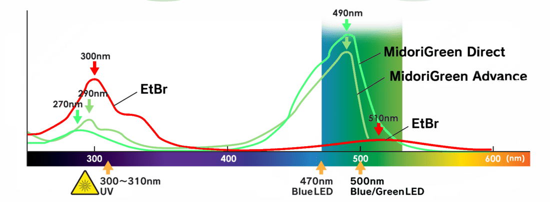 Excitation Spectra of DNA Stains vs LED Light Sources