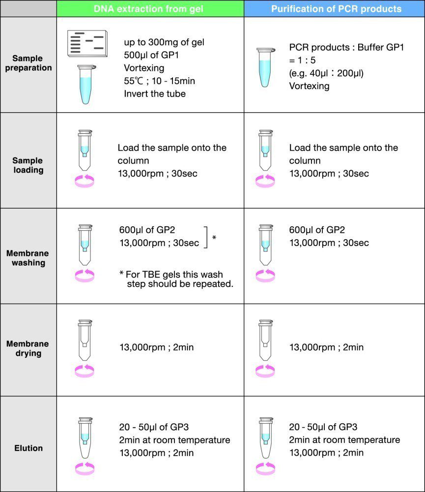 FastGene Gel/PCR Extraction Kit Protocol Diagram
