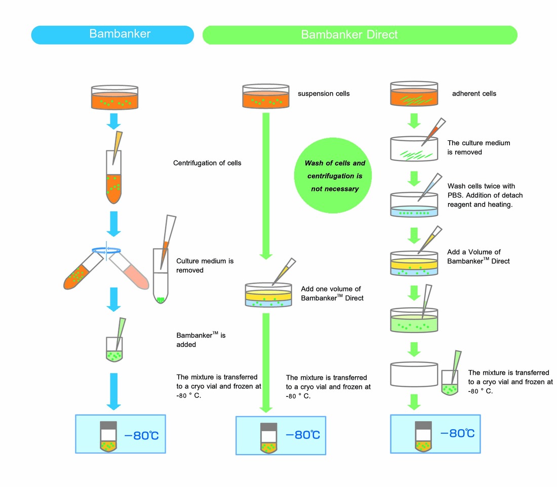 Bambanker Direct workflow compared with the standard Bambanker workflow