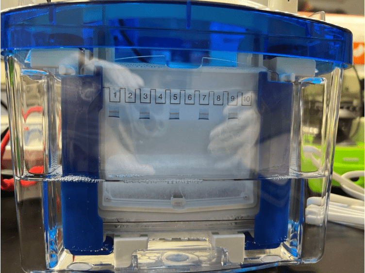 Side-by-side comparison of handling the FastGene and Bio-Rad chambers