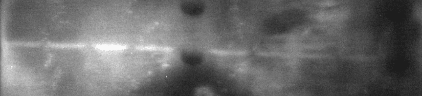 Western blot with high background