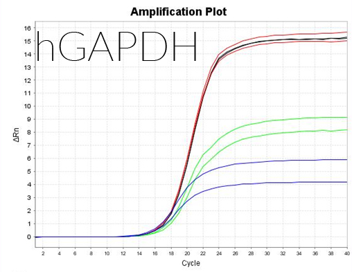 IC Green hGAPDH Amplification Plot