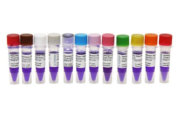 1kb Ruller UltraRanger 1Kb DNA Ladder, 100 Loads - 12100 - Geneflow